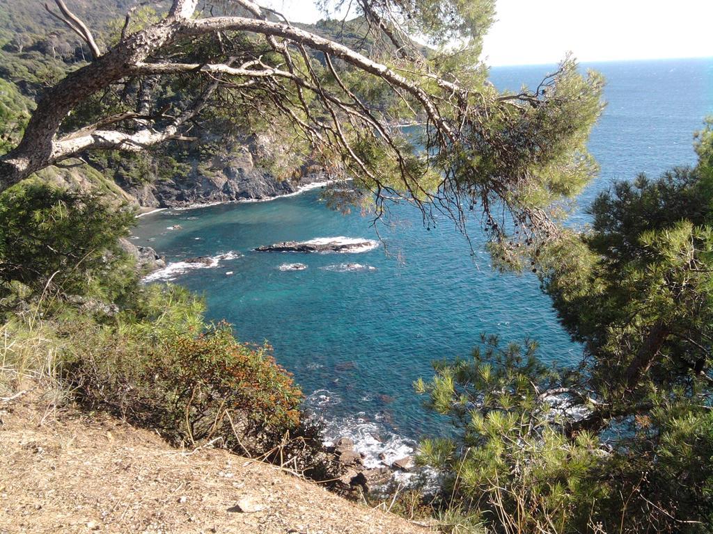 La Petite Maison De Melanie Six-Fours-les-Plages Buitenkant foto