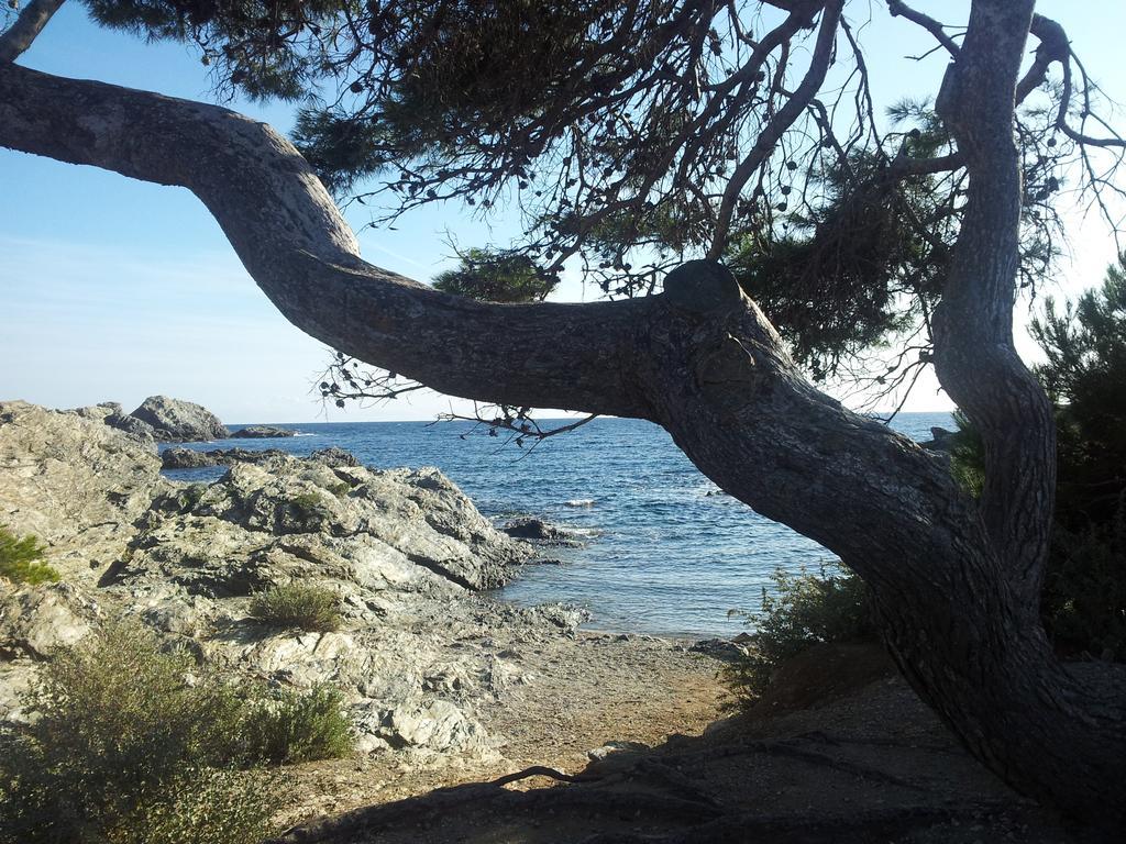 La Petite Maison De Melanie Six-Fours-les-Plages Buitenkant foto