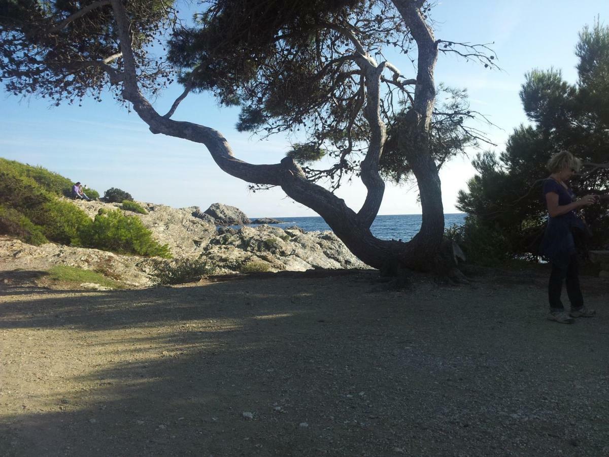 La Petite Maison De Melanie Six-Fours-les-Plages Buitenkant foto